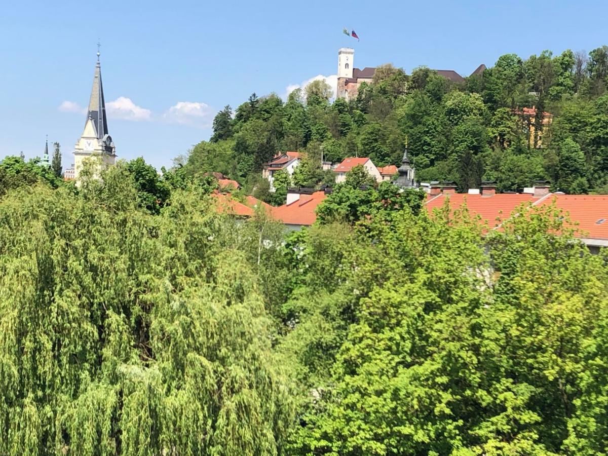 Castle View Studio Любляна Екстер'єр фото
